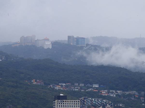 為天地寫日記(陽明山日出、淡水河岸芒草與鳥、文化大學雲霧)