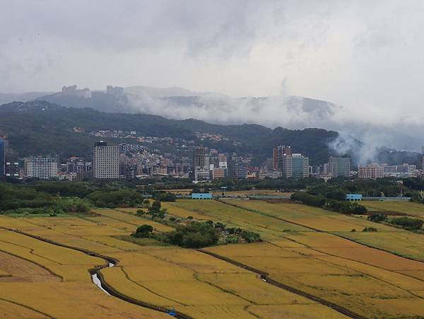 為天地寫日記(陽明山日出、淡水河岸芒草與鳥、文化大學雲霧)