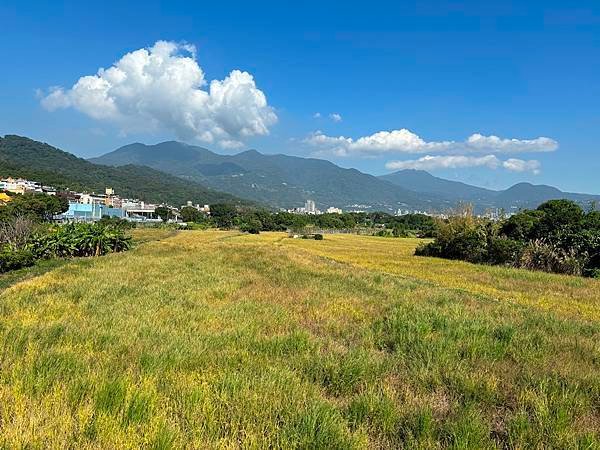 為天地寫日記(台北街景、圓山大飯店)(2023.12.10)