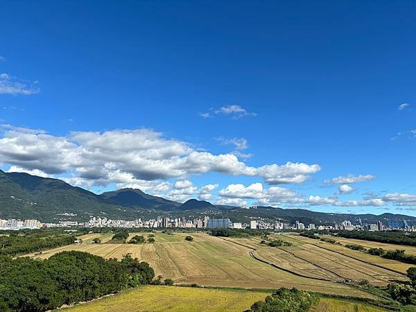 為天地寫日記(關渡靜思堂、關渡平原割稻、雲瀑)(2023.1