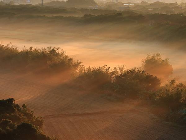 為天地寫日記(關渡平原薄霧)(2023.12.31)