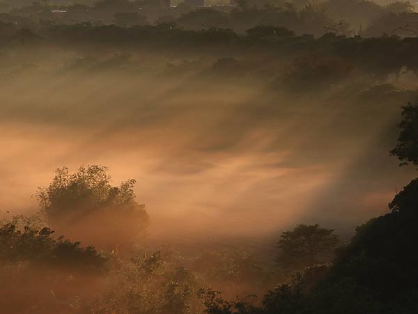 為天地寫日記(關渡平原薄霧)(2023.12.31)