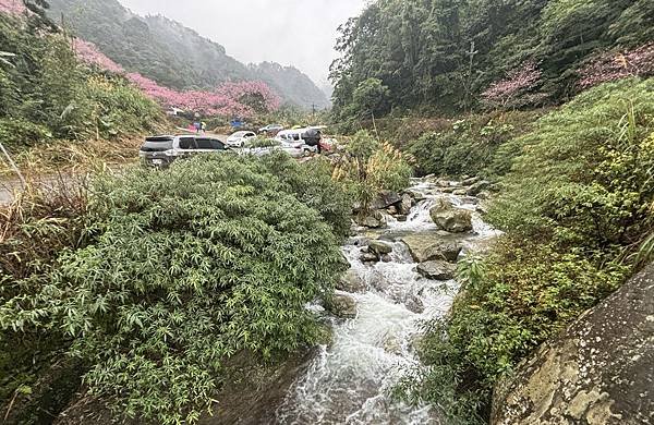 主播的育兒日記(陽明山追雪)(2024.01.23)