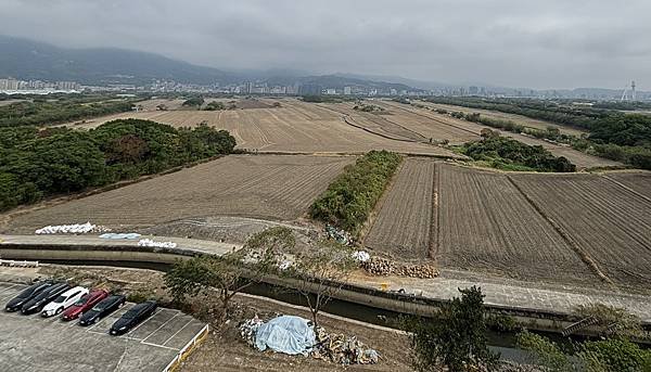 為天地寫日記(陽明山雲瀑、關渡平原割稻、宇宙大覺者、微笑葉子