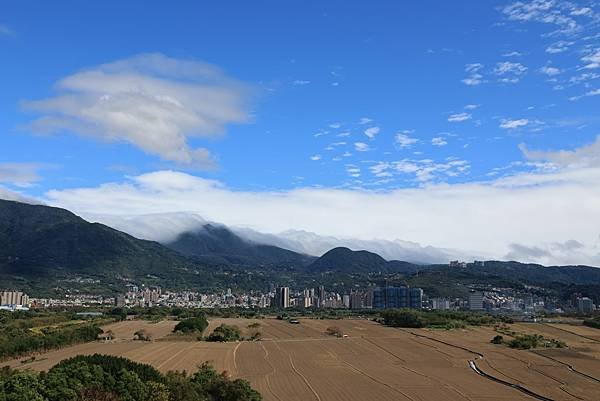 為天地寫日記(陽明山雲瀑、關渡平原割稻、宇宙大覺者、微笑葉子