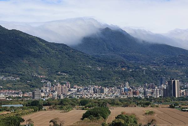 為天地寫日記(陽明山雲瀑、關渡平原割稻、宇宙大覺者、微笑葉子