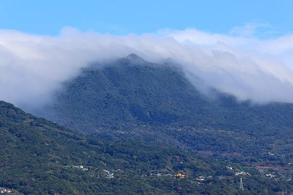 為天地寫日記(陽明山雲瀑、關渡平原割稻、宇宙大覺者、微笑葉子