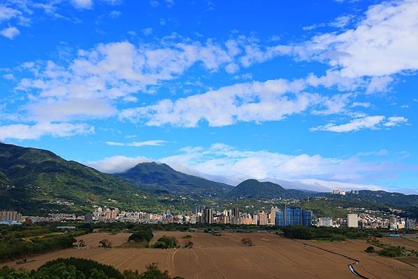 為天地寫日記(陽明山雲瀑、關渡平原割稻、宇宙大覺者、微笑葉子