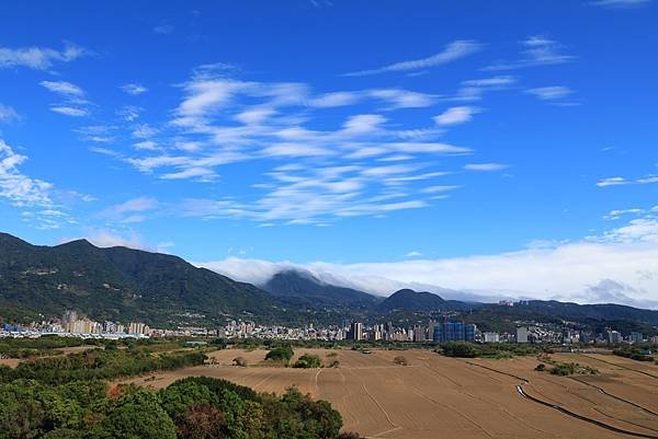 為天地寫日記(陽明山雲瀑、關渡平原割稻、宇宙大覺者、微笑葉子