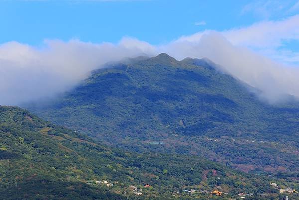 為天地寫日記(陽明山雲瀑、關渡平原割稻、宇宙大覺者、微笑葉子