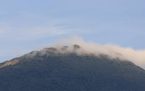 為天地寫日記(陽明山雲瀑、關渡平原割稻、宇宙大覺者、微笑葉子