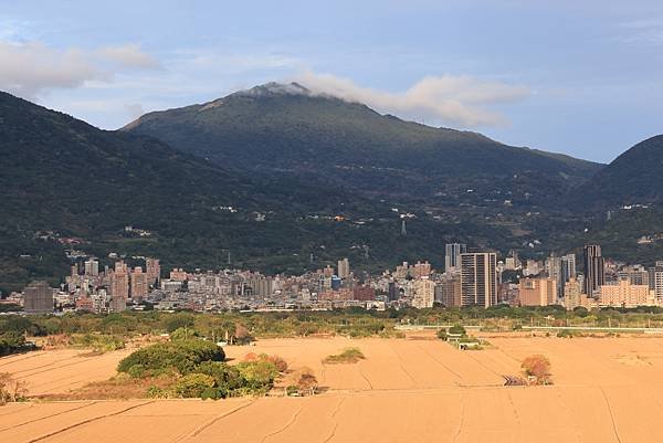 為天地寫日記(陽明山雲瀑、關渡平原割稻、宇宙大覺者、微笑葉子