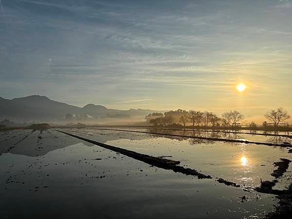 為天地寫日記(關渡平原起霧、大愛台倒影、耕耘、靜思堂與宇宙大