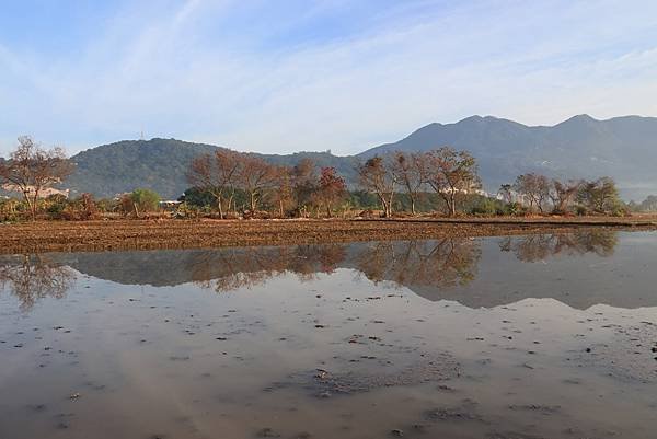 為天地寫日記(關渡平原起霧、大愛台倒影、耕耘、靜思堂與宇宙大