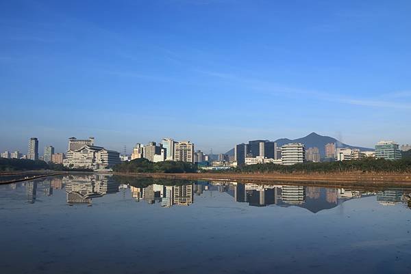 為天地寫日記(關渡平原起霧、大愛台倒影、耕耘、靜思堂與宇宙大