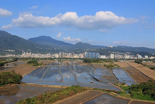 為天地寫日記(關渡平原起霧、大愛台倒影、耕耘、靜思堂與宇宙大