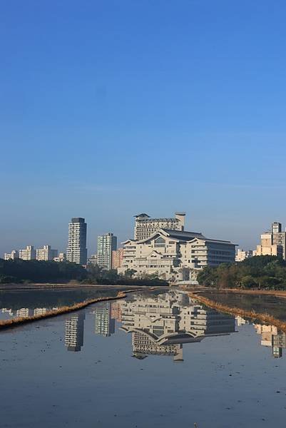 為天地寫日記(關渡平原起霧、大愛台倒影、耕耘、靜思堂與宇宙大