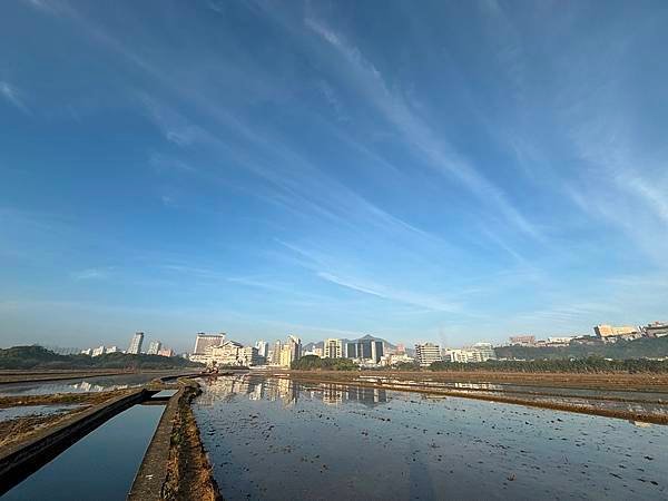 為天地寫日記(關渡平原起霧、大愛台倒影、耕耘、靜思堂與宇宙大