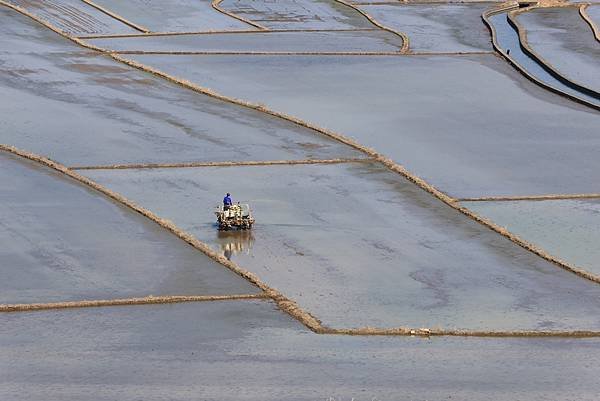 為天地寫日記(關渡平原起霧、大愛台倒影、耕耘、靜思堂與宇宙大