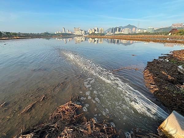 為天地寫日記(關渡平原起霧、大愛台倒影、耕耘、靜思堂與宇宙大