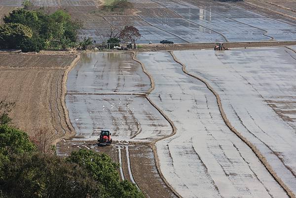 為天地寫日記(關渡平原起霧、大愛台倒影、耕耘、靜思堂與宇宙大