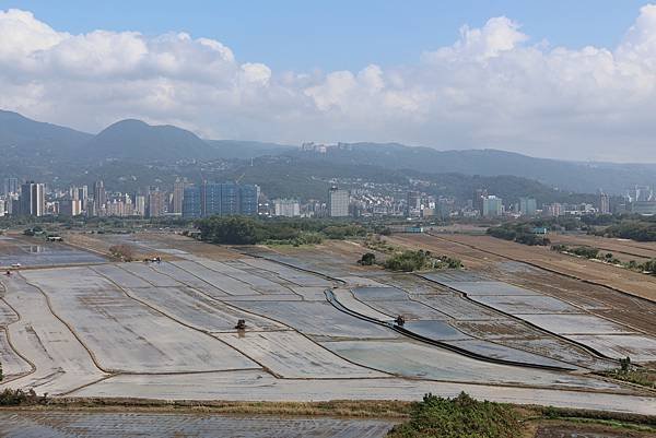 為天地寫日記(關渡平原起霧、大愛台倒影、耕耘、靜思堂與宇宙大