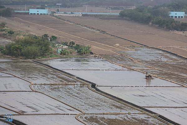 為天地寫日記(關渡平原起霧、大愛台倒影、耕耘、靜思堂與宇宙大