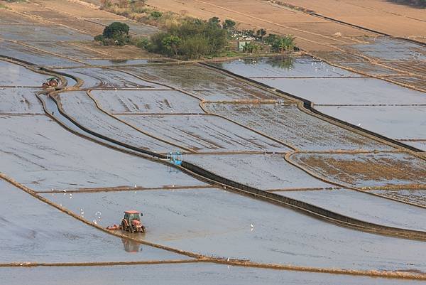 為天地寫日記(關渡平原起霧、大愛台倒影、耕耘、靜思堂與宇宙大