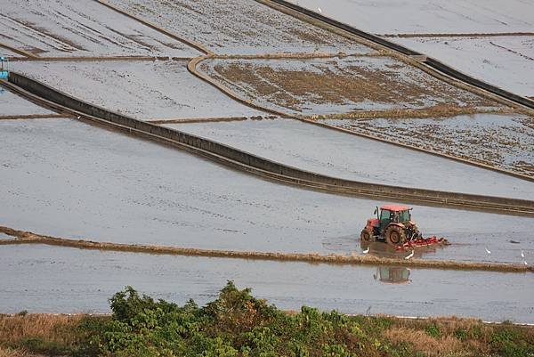 為天地寫日記(關渡平原起霧、大愛台倒影、耕耘、靜思堂與宇宙大