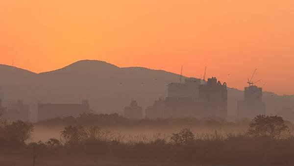 為天地寫日記(關渡平原起霧)(2024.02.20-2024