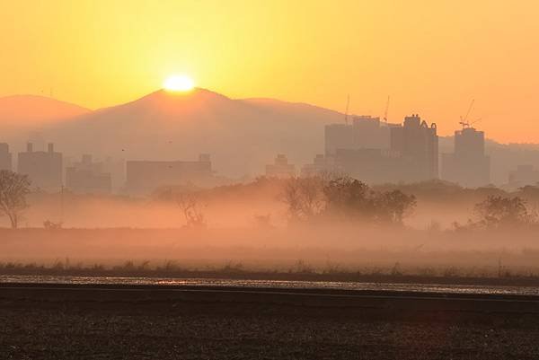 為天地寫日記(關渡平原起霧)(2024.02.20-2024