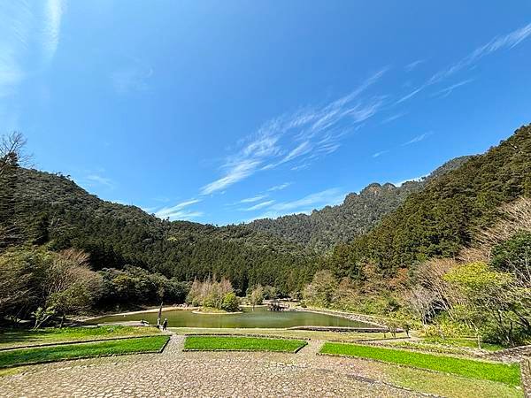 為天地寫日記(明池、櫻花與動物)(2024.02.28)