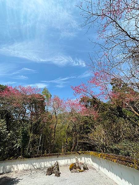 為天地寫日記(明池、櫻花與動物)(2024.02.28)