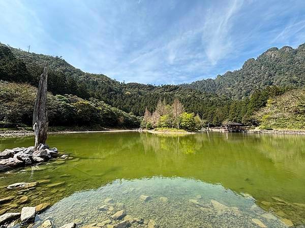 為天地寫日記(明池、櫻花與動物)(2024.02.28)