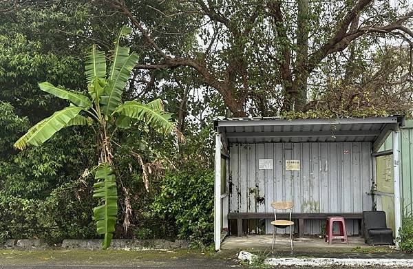 為天地寫日記(宜蘭大福海灘、北橫、大溪霧中的白鷺鷥與波斯菊)