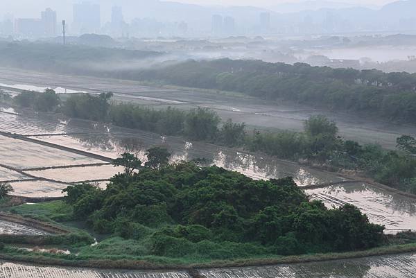 為天地寫日記(關渡平原起霧)(縮時)(2024.03.04)