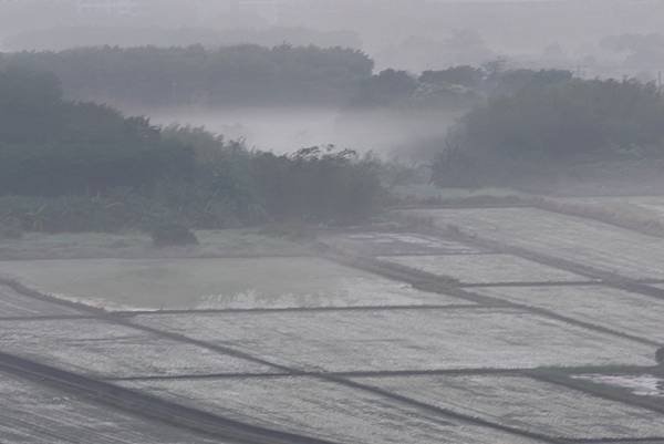 為天地寫日記(關渡平原起霧)(縮時)(2024.03.04)