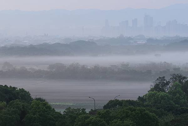 為天地寫日記(關渡平原起霧)(縮時)(2024.03.04)