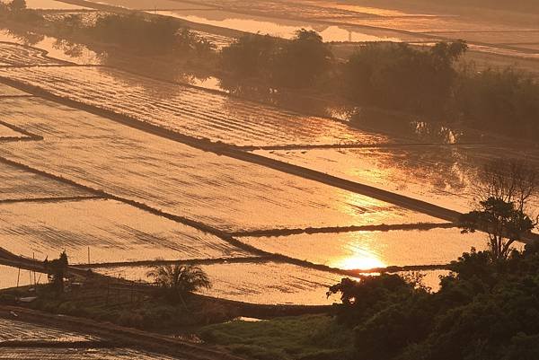 為天地寫日記(關渡平原起霧)(縮時)(2024.03.04)