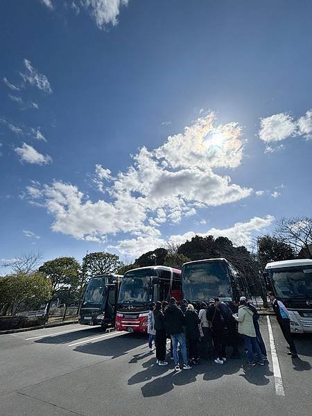 日本東京藝文之旅第二天(偕樂園梅花與鴨子)(2024.03.