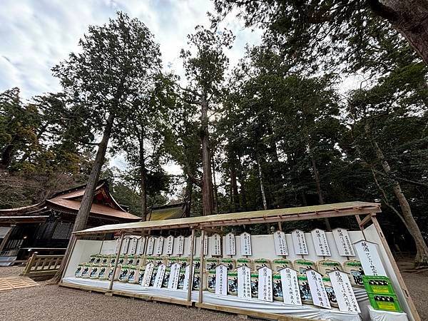 日本東京藝文之旅第二天(鹿島神宮與袋田瀑布)(2024.03