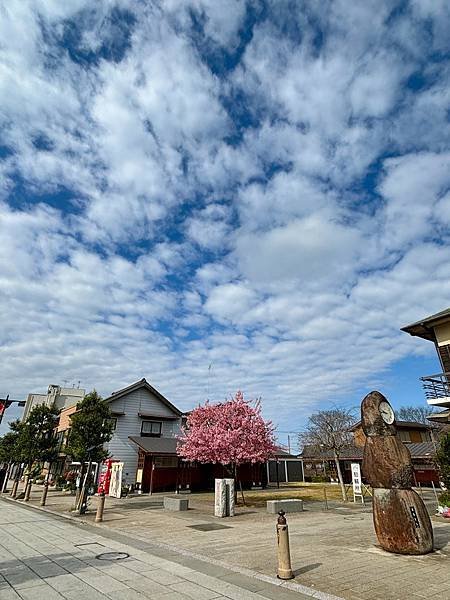 日本東京藝文之旅第二天(鹿島神宮與袋田瀑布)(2024.03