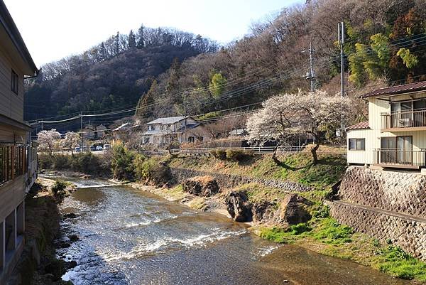 日本東京藝文之旅第二天(鹿島神宮與袋田瀑布)(2024.03