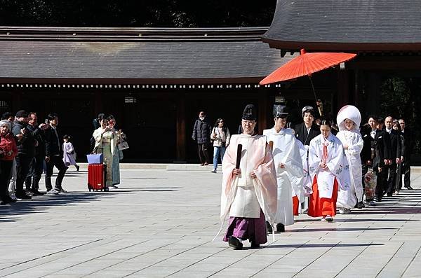 日本東京藝文之旅第五天(明治神宮)(2024.03.10)