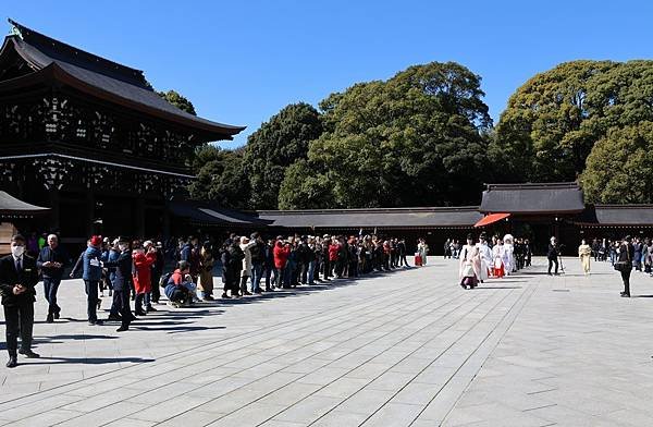 日本東京藝文之旅第五天(明治神宮)(2024.03.10)