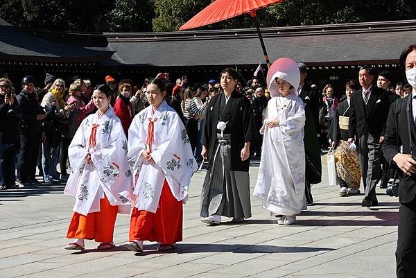 日本東京藝文之旅第五天(明治神宮)(2024.03.10)