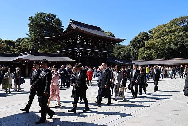 日本東京藝文之旅第五天(明治神宮)(2024.03.10)