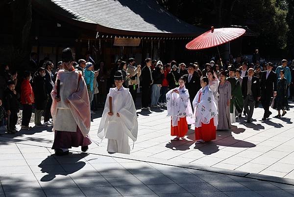 日本東京藝文之旅第五天(明治神宮)(2024.03.10)