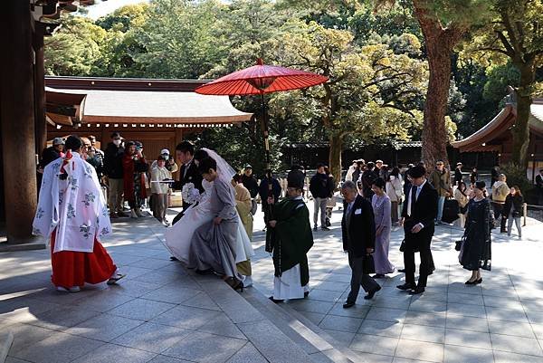 日本東京藝文之旅第五天(明治神宮)(2024.03.10)