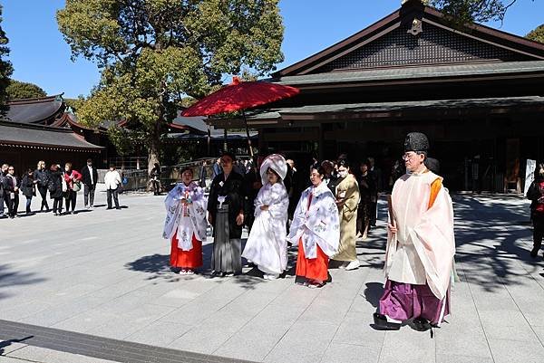 日本東京藝文之旅第五天(明治神宮)(2024.03.10)